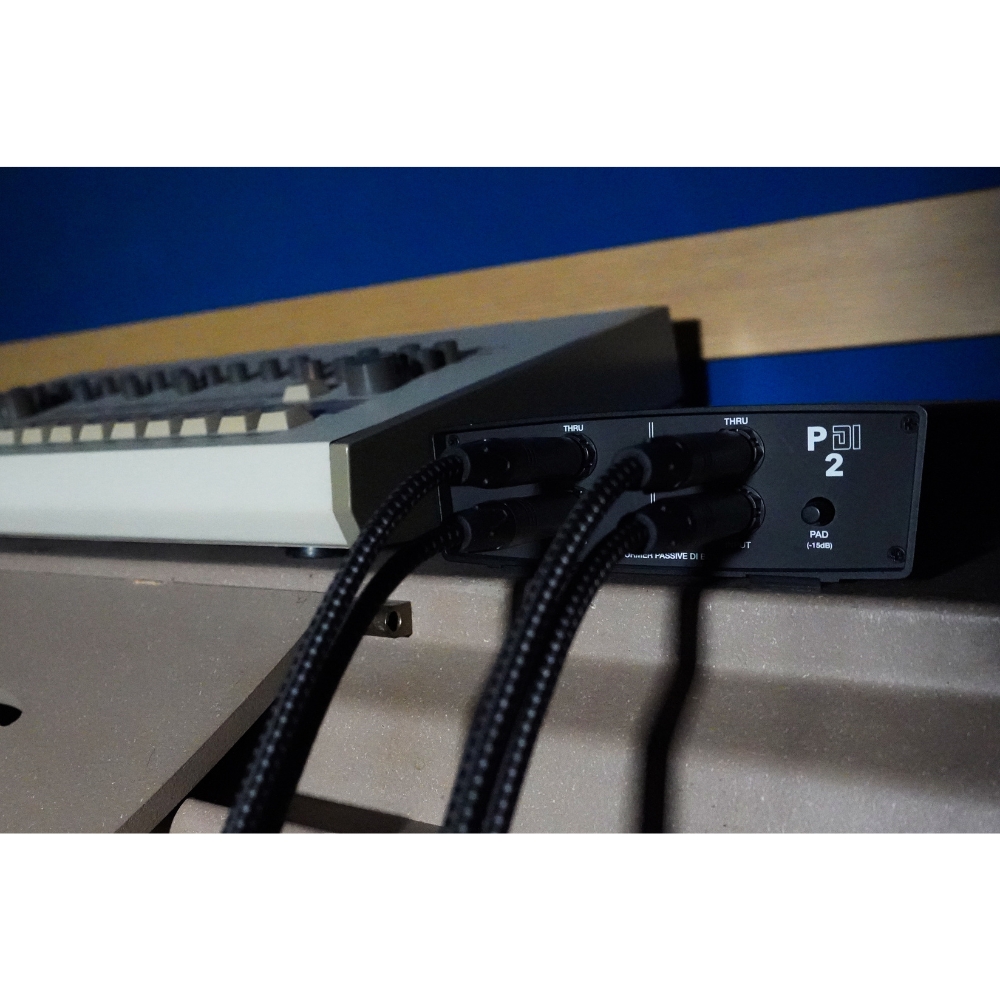 Heritage_Audio_P_DI_2_-_Dual-Channel_Passive_DI_Box_-_6