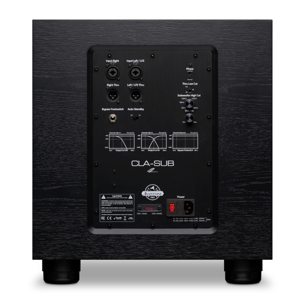 Avantone_Pro_CLA-Sub_-_300-Watt_10-inch_Studio_Subwoofer_-_3_Rear