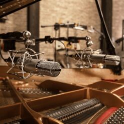 Warm_Audio_CX12_-_Large_Diaphragm_Condenser_Tube_Microphone_-_8_Lifestyle_-_2