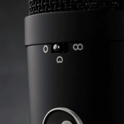 Warm_Audio_WA87_R2_-_Large_Diaphragm_Transformer-Balanced_Condenser_Microphone_Black_-_5_Polar_Pattern_Switch_Zoomed_Detail