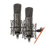 Warm_Audio_WA87_R2_TS_Stereo_Pair_-_Large_Diaphragm_Transformer-Balanced_Condenser_Microphones_Titanium_-_1_Hero_Front_Pair_with_Shockmounts