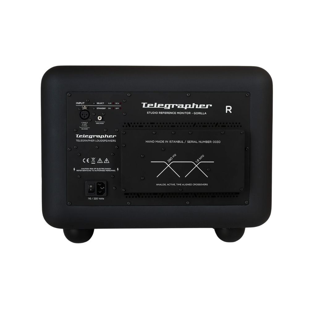 Telegrapher_GORILLA_-_Active_Analog_3-Way_Midfield_Studio_Monitor_-_Crow_Black_Pair_-_4_Rear_Single