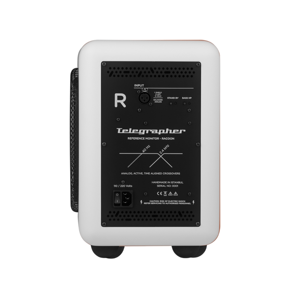 Telegrapher_RACCOON_-_6-inch-Active_Analog_2-Way_Nearfield_Studio_Monitor_-_Trooper_White_Pair_-_4_Rear_Single