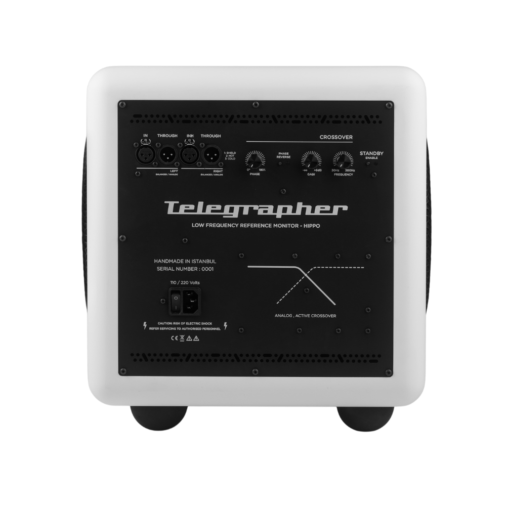 Telegrapher_HIPPO_-_10-inch_Active_Analog_Subwoofer_Trooper_White_-_3_Rear_with_Grills