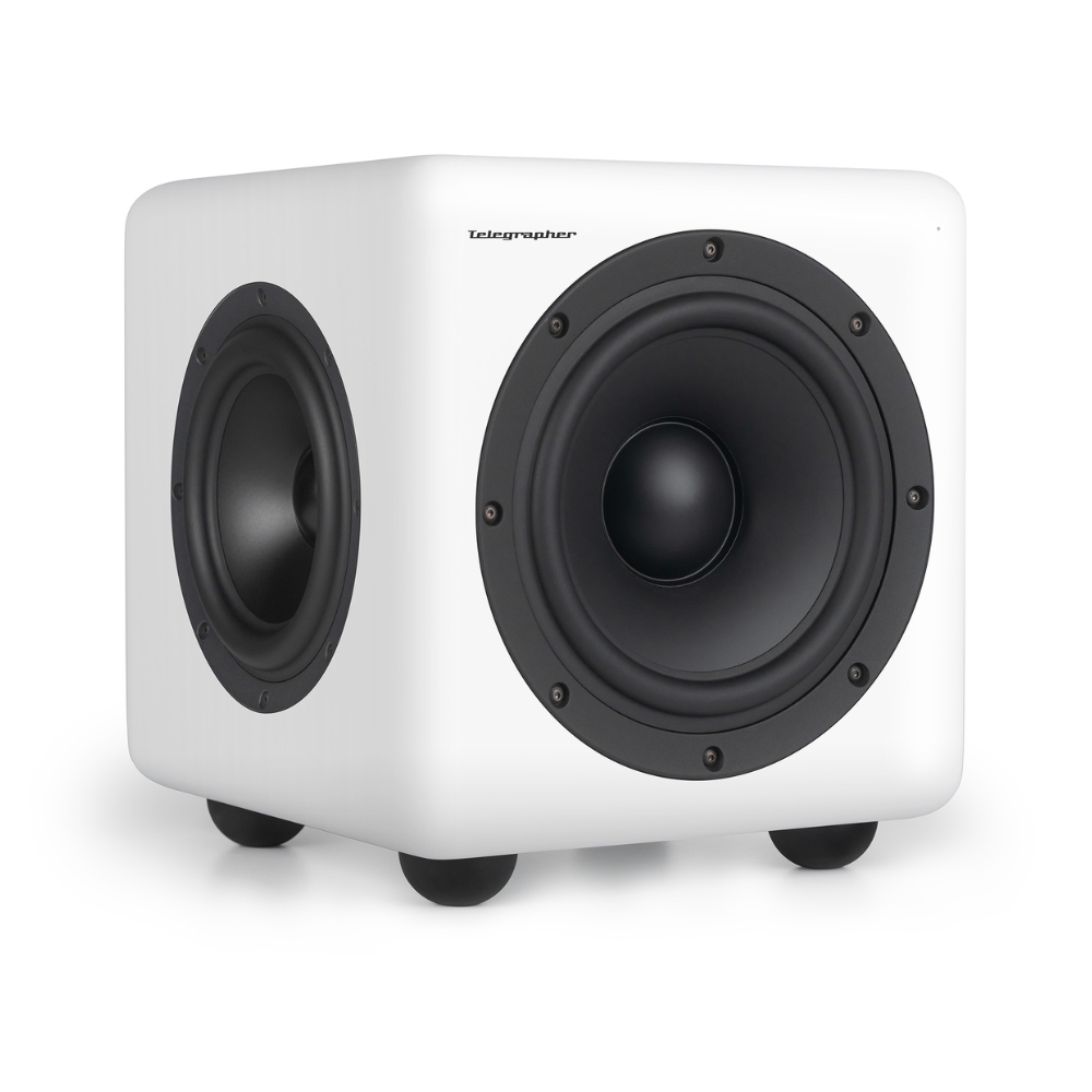 Telegrapher_HIPPO_-_10-inch_Active_Analog_Subwoofer_Trooper_White_-_5_Front_Left_Side_Right_Angle_no_Grills