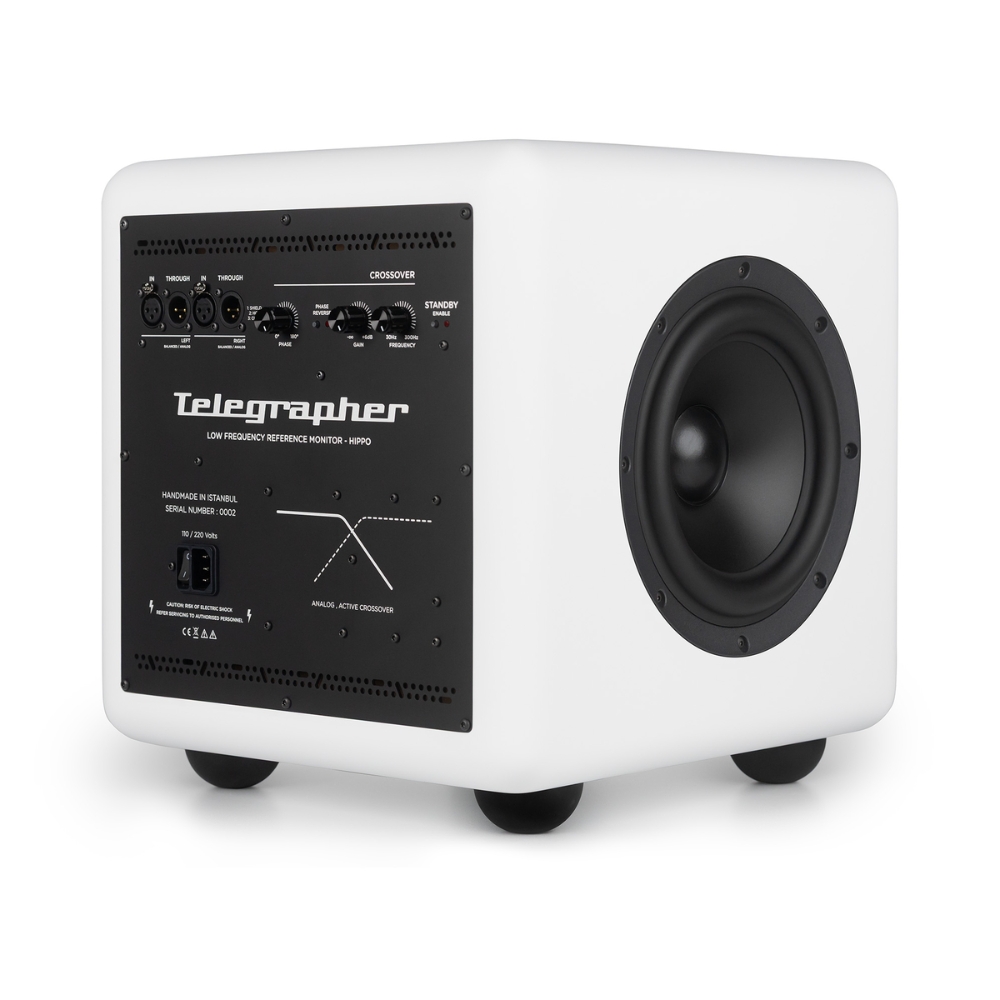 Telegrapher_HIPPO_-_10-inch_Active_Analog_Subwoofer_Trooper_White_-_6_Rear_Right_Side_Left_Angle_no_Grills