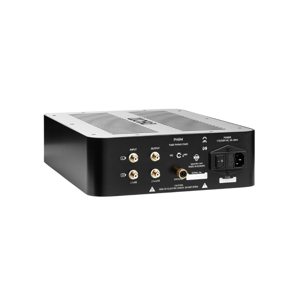 IGS_Audio_PHOM_-_Tube_Phono_Stage_with_the_Passive_RIAA_Filter_-_3_Rear_and_Top_Left_Side_Right_Angle